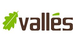 Logo-Vallés-Yesos-David